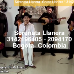 grupo llanero bogota 3142196105